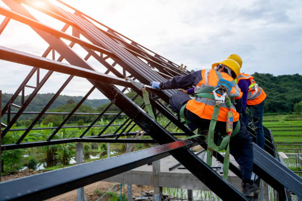 Best Gutter Installation and Roofing  in Woodbine, GA