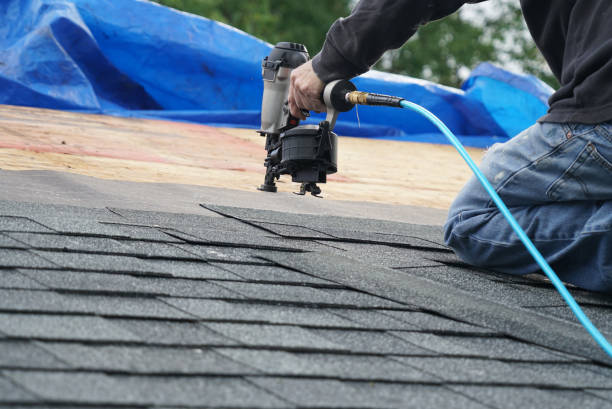 Best Sealant for Roof  in Woodbine, GA